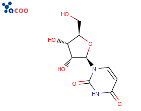 China Uridine Manufacturer,Supplier