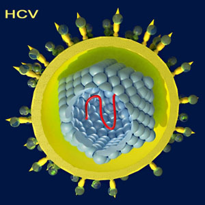 Inventory of imported hepatitis C DAA drugs approved in China