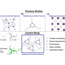 New Supramolecular Networks For Bacterial Imaging And Killing