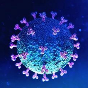 Papain-like protease, an important target of anti-SARS-CoV-2 viral drugs