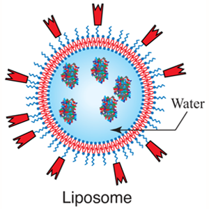 Effects of Tris and Bicine Buffers on the In Vitro Properties of ULPs