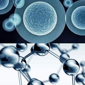 Why Is β-nicotinamide mononucleotide (NMN) Anti-aging?