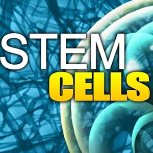 Can diabetes really be reversed? Summary of stem cell therapy