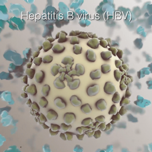 Recent research progress in Hepatitis B Drugs and Vaccines