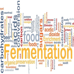 Fermentation Method for Producing L-2-aminobutyric Acid Using IPTG as Inducer  